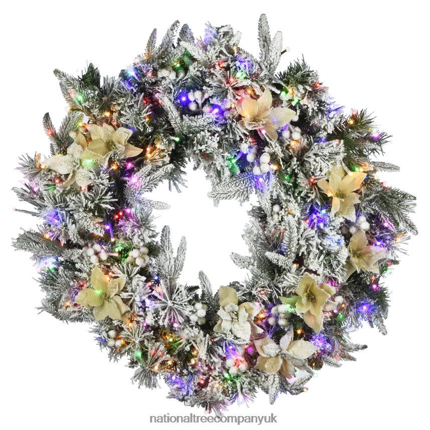 Greenery | National Tree Company 30\ Frosted Colonial Fir Wreath with Dual Color LED Cosmic Lights F2L4F317